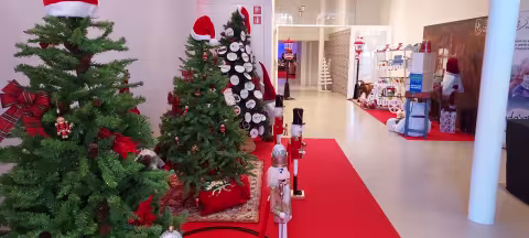 20231122_120749.jpg